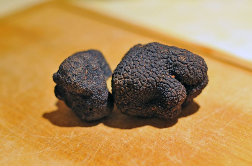 black truffles